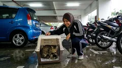 Kisah: Ibu kucing itu tak pernah benarkan saya dekat, sampai petang itu