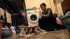 Cerita ringkas: Saya cuma berhenti sekejap di belakang kedai, tapi balik dengan sesuatu