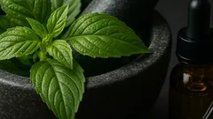 Daun selasih dan kanser: apa bukti sebenar, apa yang masih mitos