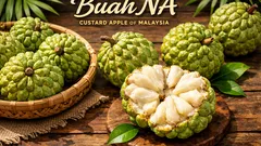 Khasiat buah na yang ramai tak tahu untuk kulit, penghadaman dan tenaga