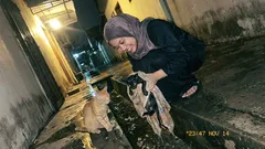 Kisah: Setiap petang oyen itu datang, sampai satu malam saya faham sebabnya